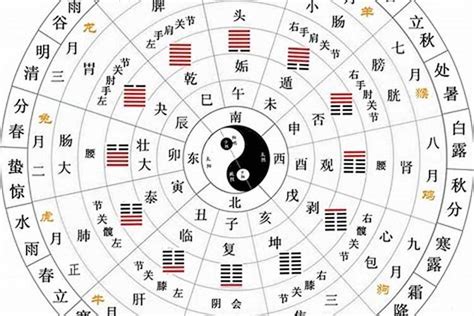 十天干十二地支|十二天干地支对照表 十天干和十二地支详解